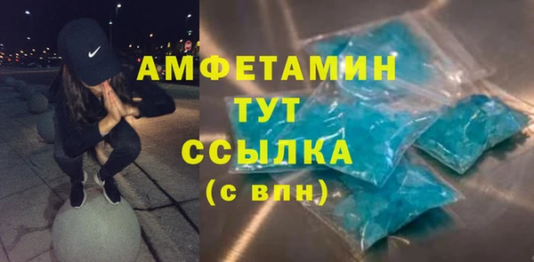 прущие грибы Балахна