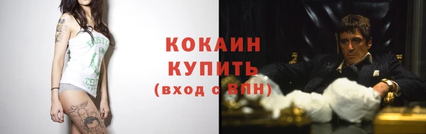 бошки Белокуриха