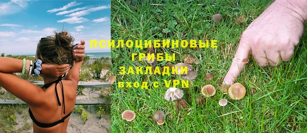 молекула духа Балабаново