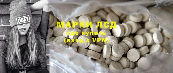 прущие грибы Балахна