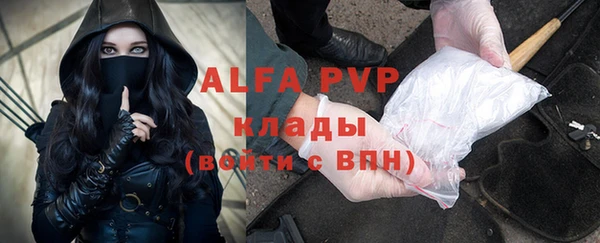 бошки Белокуриха